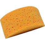 Spužve
