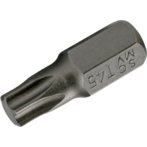 T-profil bez rupe 10 mm, kratki